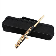 Cupronickel C Key Piccolo Flute with Gold Plated Keys, Rich Tone, Padded Case for Beginners
