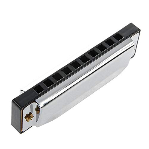10 Hole Diatonic Harmonica Key of C, Compact Pocket Size, Silver, GiftReady for Beginners 1