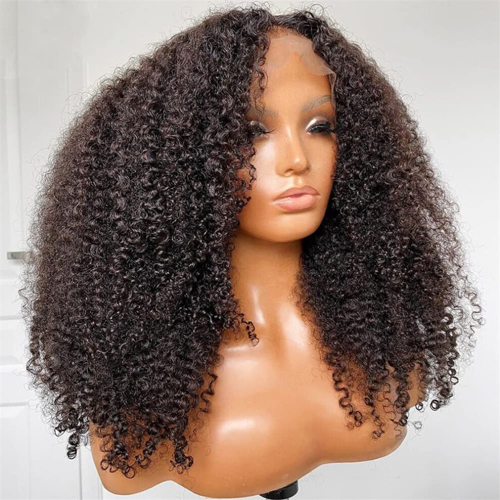 13x4 Kinky Curly Lace Front Wig 20 Inch Brazilian Virgin Human Hair Pre Plucked 150 Density