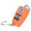 Báscula colgante digital mini 200kg ABS inoxidable LCD 1