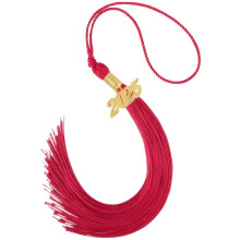 Graduation Tassel Class of 2025 Red Cap Tassel with Gold 2025 Charm and Secure Metal Buckle
