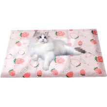 Cat Cooling Mat Breathable Strawberry Pad for Kitten Comfort Sleep Support Indoor Outdoor Travel 25x15x15cm