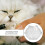 Cat Head Cover, Cat Muzzle for Grooming, Breathable Transparent Cat Astronaut Muzzle 2