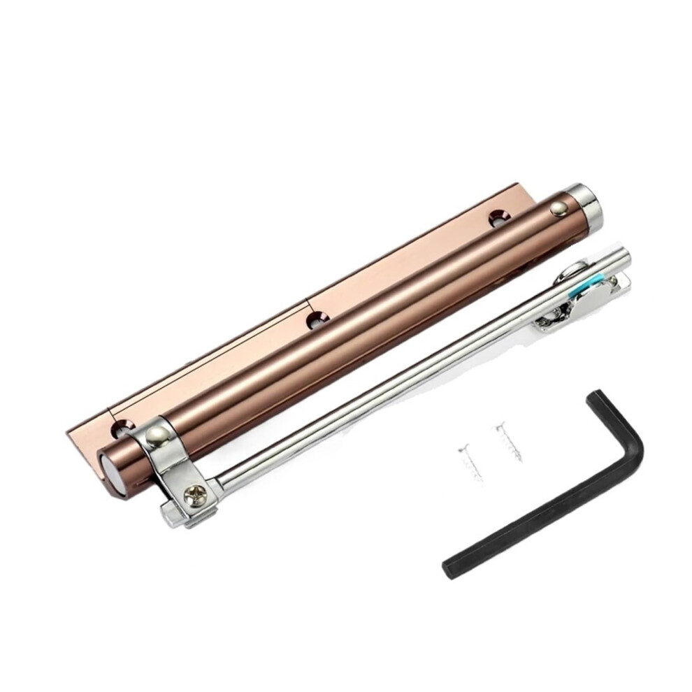 Automatic Door Closer Heavy Duty Adjustable Speed Silent Soft Close Champagne Gold Aluminum Alloy 9164114009265