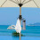 Beach Umbrella Hooks with 6 Hooks, AntiSlip Hook for Bag, Clothes, Easy Install 5