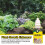 Advanced Plant Root Stimulator Solution for Accelerated Root Growth 4