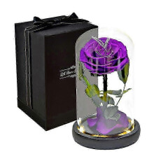 Rose That Lasts Eternal compatible withever Preserved Flower in Glass Dome Lamp compatible with Valentine's Mother's Day Gift Box