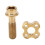 RISIKO Titaniumlegierung Frontschaltwerbe-Schraubdichtung – Gold, ca. 7g 2