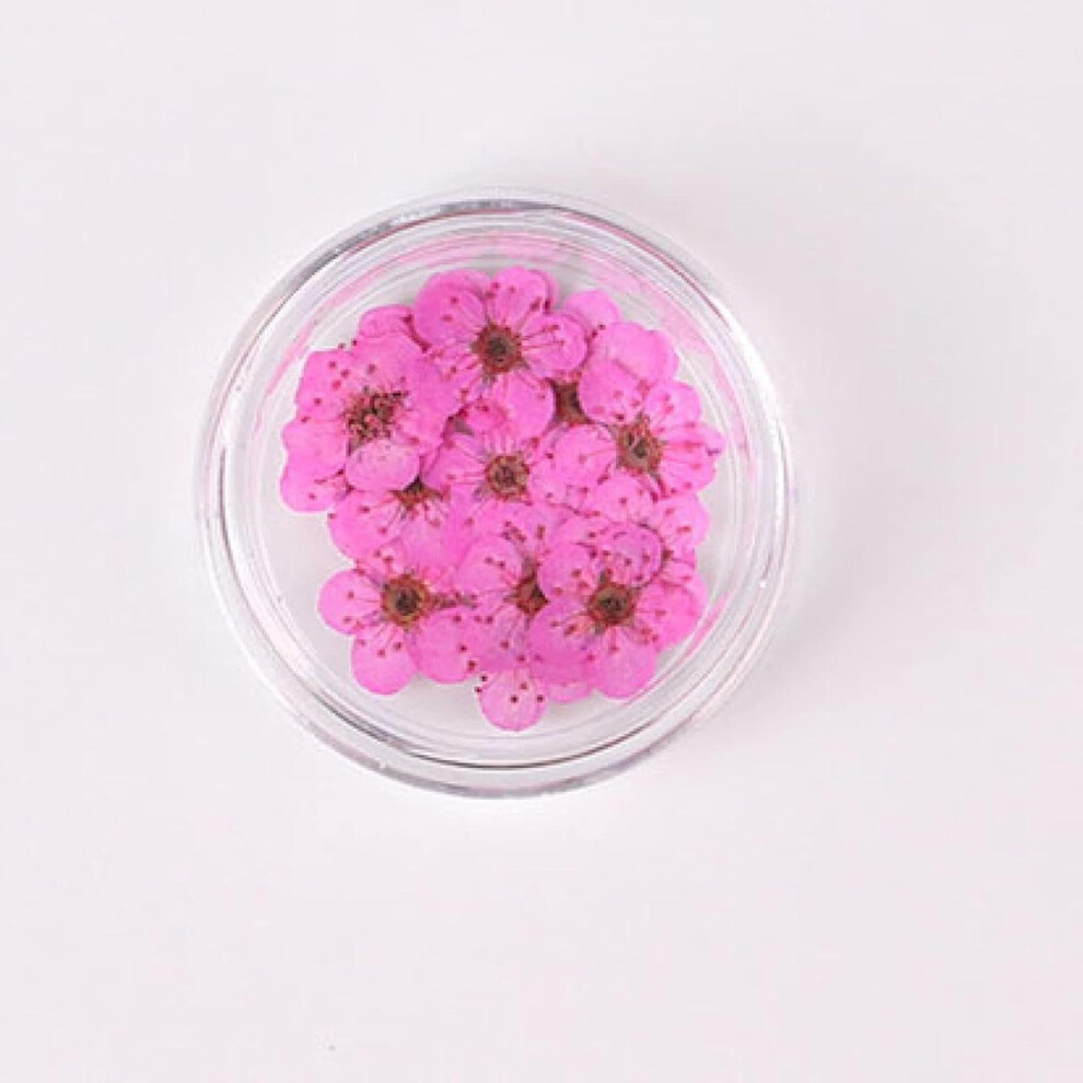 100 Pieces Pressed Flower Nail Art and Dried Flower Resin Jewelry for DIY Craft Making
