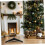 Christmas Tree Stand Base Holder with Compact Stable Design for Small Indoor Trees 3