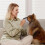 Dog Muzzle Adjustable Soft Mesh No Barking Pet Muzzle Stops Biting Breathable Nylon Straps 2