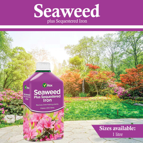 Vitax Seaweed Plus Sequestered Iron Liquid Feed for Healthy Foliage 1L 2Pack 1