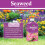 Vitax Seaweed Plus Sequestered Iron Liquid Feed for Healthy Foliage 1L 2Pack 5