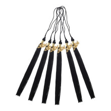 6Pcs Graduation Cap Tassels with 2024 Year Charm for Academic Ceremony and Party Décor Black