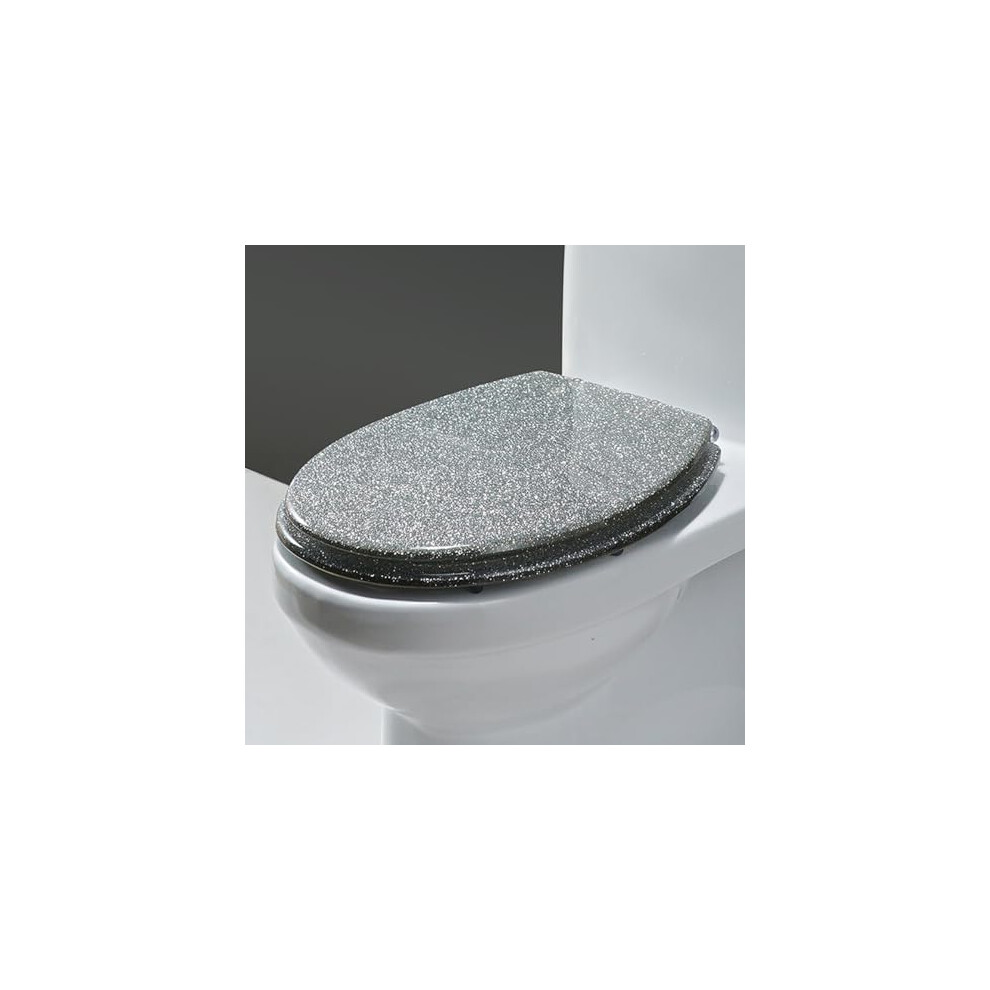 Toilet Seat Glitter Round 16.5 Inch Quick Release Slow Close Nonslip Lid Resin Safe Material Black Silver 9174973491712
