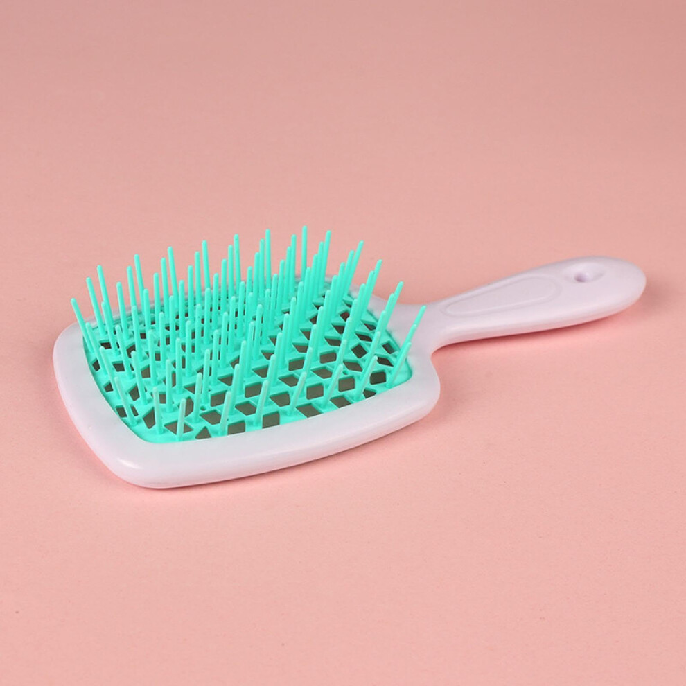 Detangling Hair Brush with Hollow Mesh Comb for Wet and Dry Hair, Gentle Styling for Curly and Straight