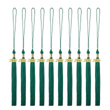 10x Green Graduation Tassels with 2025 Year Charm for Bachelor Master Doctoral Cap and Gown