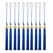 Blue Graduation Tassels with 2025 Year Charm for Bachelor Master Doctoral Ceremony 10 Pack