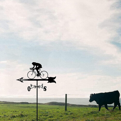 Rustproof Metal Weather Vane Garden Stake Outdoor Wind Direction Indicator Decorative 2
