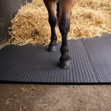 Stable Mats EVA 6ft x 4ft Cushioned Matting 6pcs