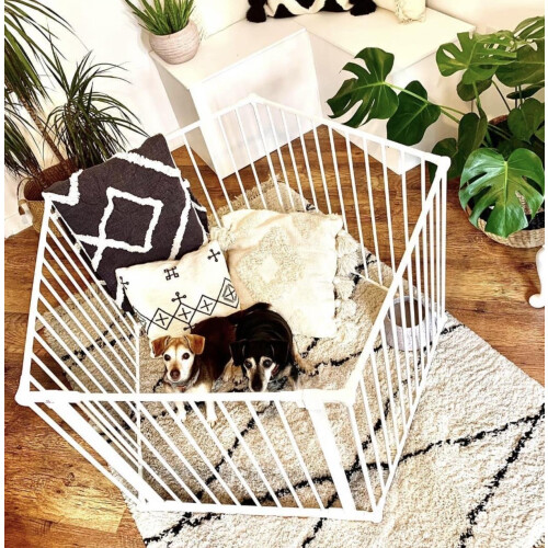 (5 x 72cm, White) Bettacare Pet Pen 1