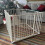Safetots (92cm x 92cm, White) Safetots Premium Multi Panel Play Den 6