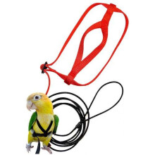 Elegant Adjustable Anti-Bite Harness and Lead for Parrots, African Grey, Cockatoos, Budgies, Cockatiels, Durable Material