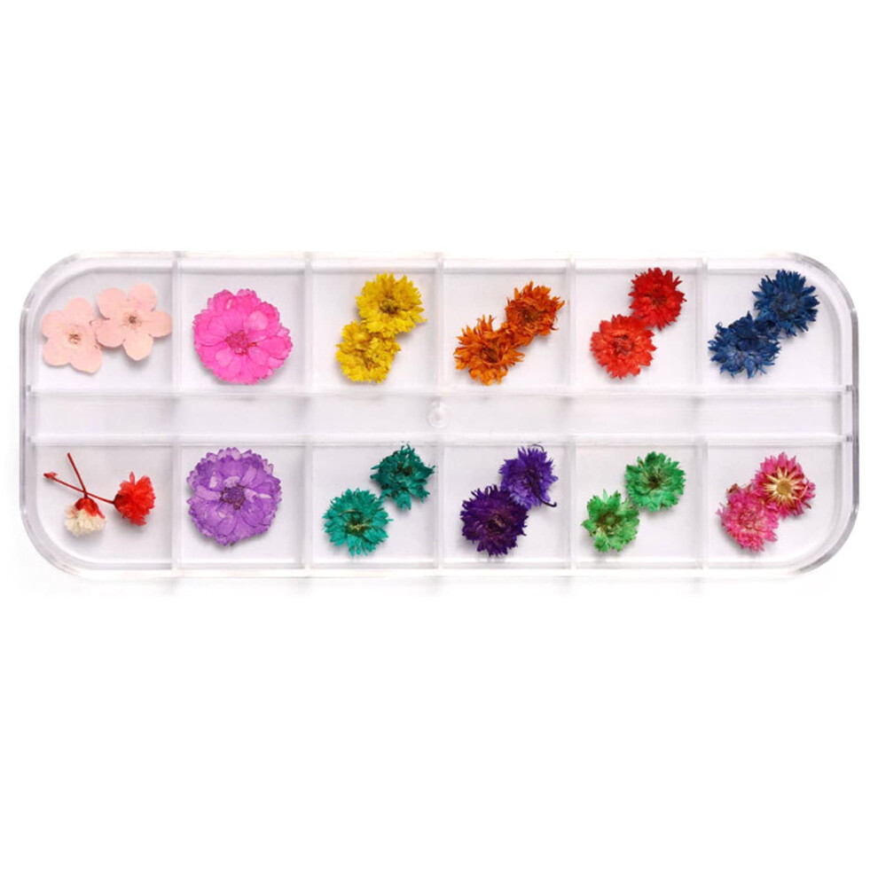 Dried Flower Nail Art Set 24pcs Real Natural Pressed Flowers for Nails and Resin Crafts