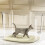 Large Covered Cat Litter Box with Scoop, Odor Control and Multiple Entry Options, Size M 4