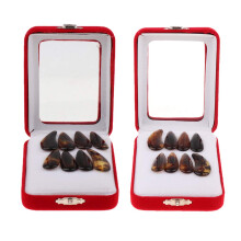 2 Pack Guzheng Finger Picks with Groove for Clear Tone and Noise Reduction, Multiple Sizes