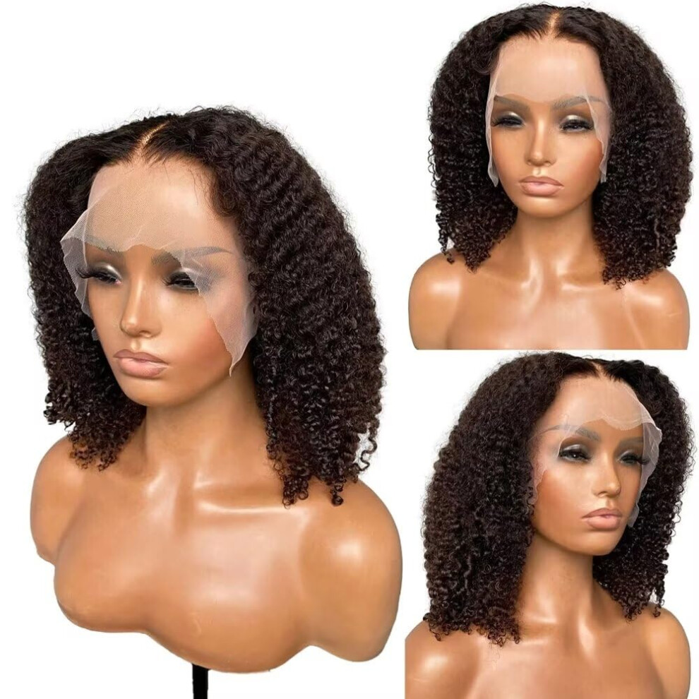 Short Curly Bob Lace Front Human Hair Wig 13x6 HD Transparent Lace Pre Plucked 150% Density 12inch