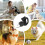 Retractable Dog Leashes No Pull With LED Light Extendable Leash For Travel Night Walking Black 3