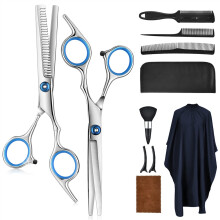 Hairdressing Scissors Set 10PCS with Cutting and Thinning Shears Comb Clips for Home and Salon