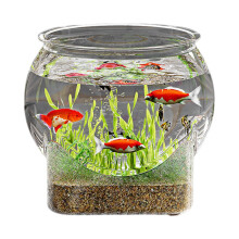 Fish Bowl Vase Clear Betta Fish Aquarium Planter Decor For Home Living Room Small