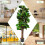 Artificial Fiddle Leaf Fig Tree, 1.5m, Indoor/Outdoor Decor 3