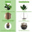 Artificial Fiddle Leaf Fig Tree, 1.5m, Indoor/Outdoor Decor 5