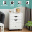 Mobile File Cabinet with 5 Drawers, White, 48x39.5x65.5 cm 1