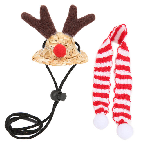 Bartleguane Santa-Hut & Schal Set, Reptil-Weihnachtskostüm