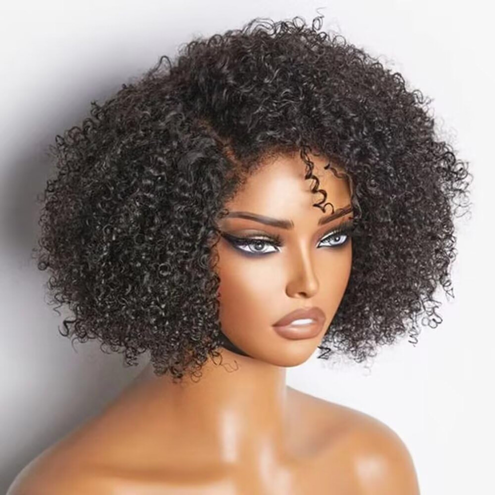Unisex Black 13X6 Hd Lace Front Brazilian Curly Bob Wig For Women, Glueless Virgin Human Hair 12 Inch