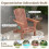 Folding Adirondack Chair, Wood, 180kg Capacity 3