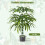 Juego de plantas de bambú artificial, 100 cm, con maceta, paquete de 2 3