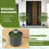 Juego de plantas de bambú artificial, 100 cm, con maceta, paquete de 2 5