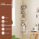 5-Tier Corner Wall Shelf, Floating White Bookshelf 3