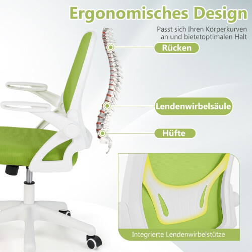 Ergonomic Office Chair, Green, Flip-Up Arms, Lumbar Support 2