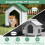 Plastic Dog House with Lockable Door & Ventilation 5