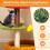 Cat Tree with Sisal Posts, Platforms, and Bed, 106 cm 4