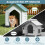 Plastic Dog House with Lockable Door & Ventilation 3