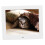 IPS Screen Digital Photo Frame, 8 Inch Touch Screen High Resolution Adjustable Brightness Frame Remote Control Digital Picture Frame Auto Rotate Wall 5
