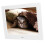 IPS Screen Digital Photo Frame, 8 Inch Touch Screen High Resolution Adjustable Brightness Frame Remote Control Digital Picture Frame Auto Rotate Wall 4