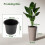 2-Piece Weatherproof Planter Set with Drainage, 45 cm 2